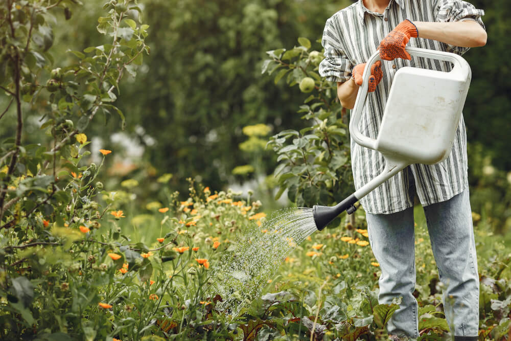 watering graden