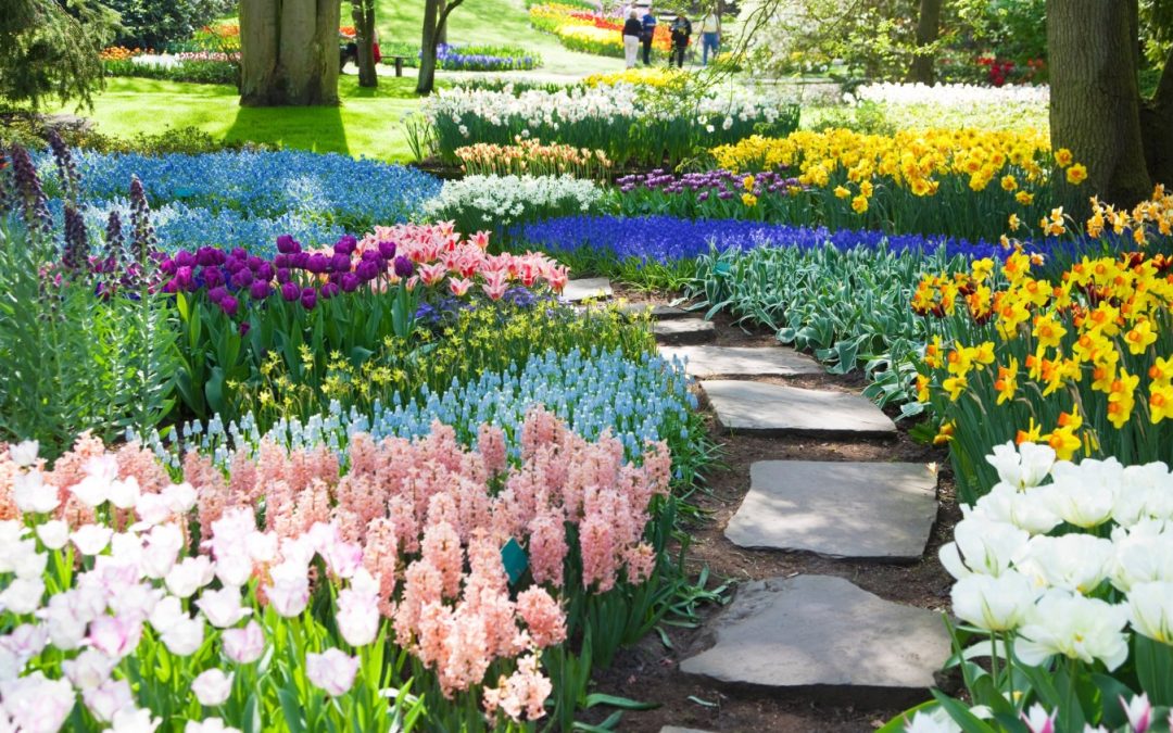 The Hidden Helpers: How Bugs Benefit Your Garden