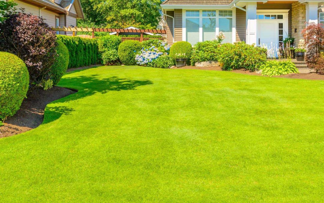 The Consequences of Not Removing Weeds