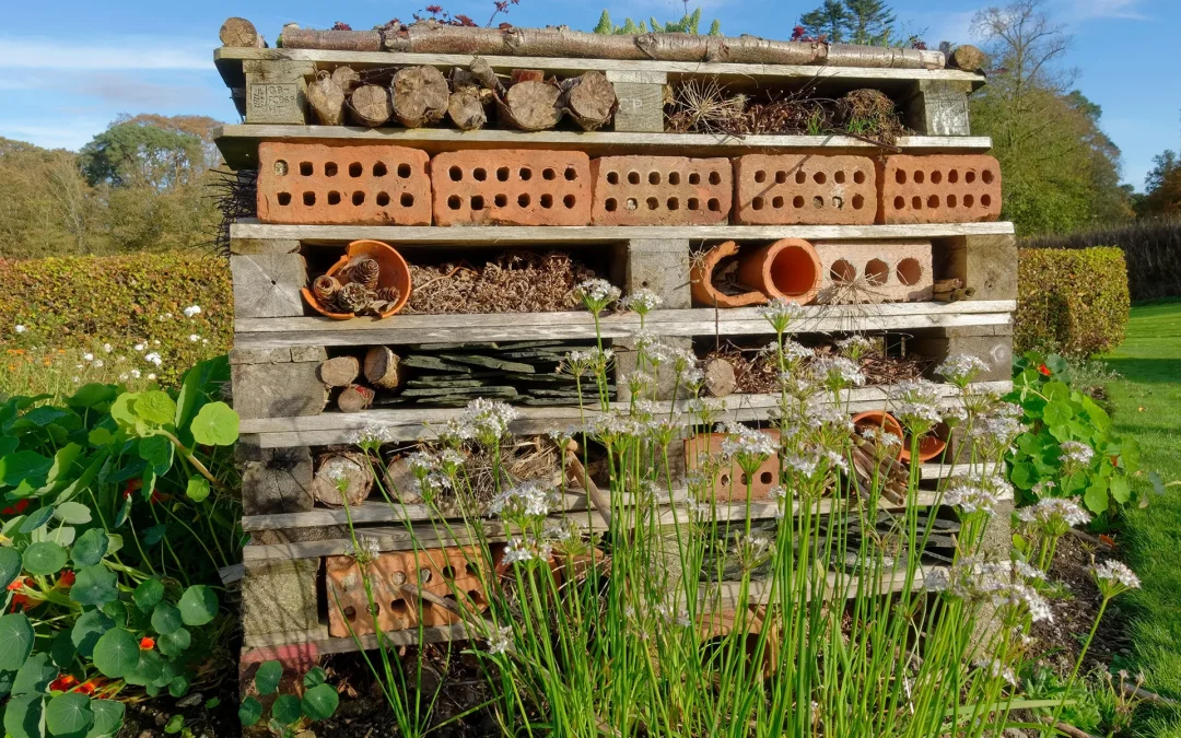 How Harmful Bugs Destroy Our Garden