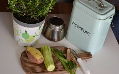 Composting 101: Turning Kitchen Scraps into Garden Gold